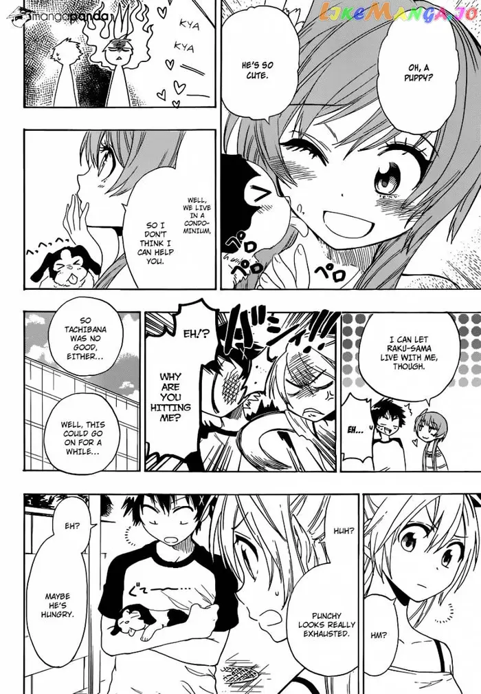 Nisekoi Chapter 41 image 11_optimized